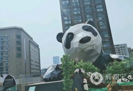 成都ifs大熊猫正脸在几楼