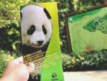 大熊猫基地门票优惠政策